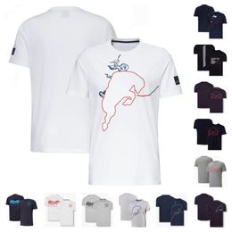 F1 racepak T-shirt met korte mouwen en ronde hals Heren zomerteamoverall plus maat aangepast fanshirt