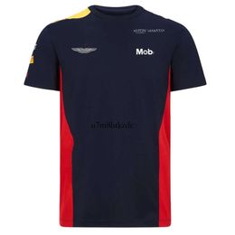 F1 T-shirt F1 2024 été hommes T-shirt sport décontracté respirant manches courtes séchage rapide AF1 54