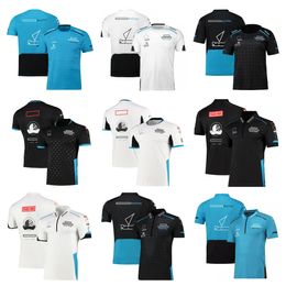 F1-Team-Fahrerbekleidung, F1-Kurzarm-Rennbekleidung, POLO-Shirt, atmungsaktive, schnell trocknende Herrenbekleidung, große Größenanpassung