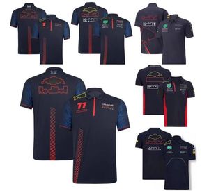 F1 Team Racing Polo Jersey Polyester Sneldrogende auto Rapel T-shirt dezelfde stijlaanpassing