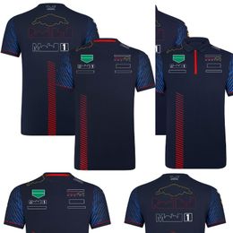 Camiseta de carreras del equipo F1, Polo de piloto de fórmula, camisetas de deportes de motor, ropa de nueva temporada, camisetas para fanáticos, Jersey de talla grande para hombre