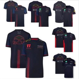 F1-Team-Renn-T-Shirt aus Polyester, schnell trocknend, kurze Ärmel, der gleiche Stil kann individuell angepasst werden320p