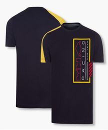 F1 Tshirt Team Racing Fans Shirt Men039s Jersey rapide et manche courte Formule 1 Tshirts Car Tops Persans8932704