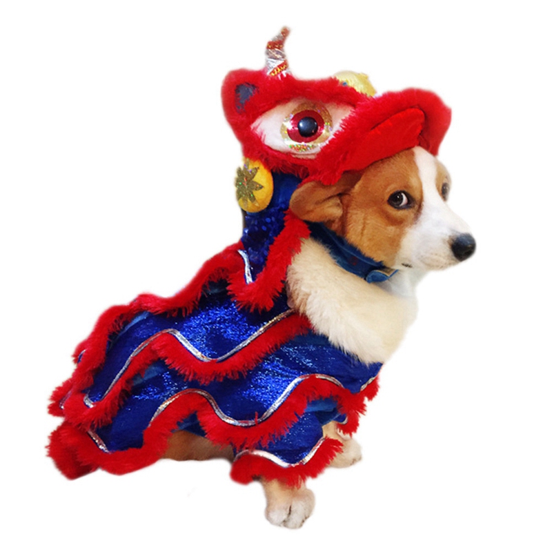 cat chinese new year costume
