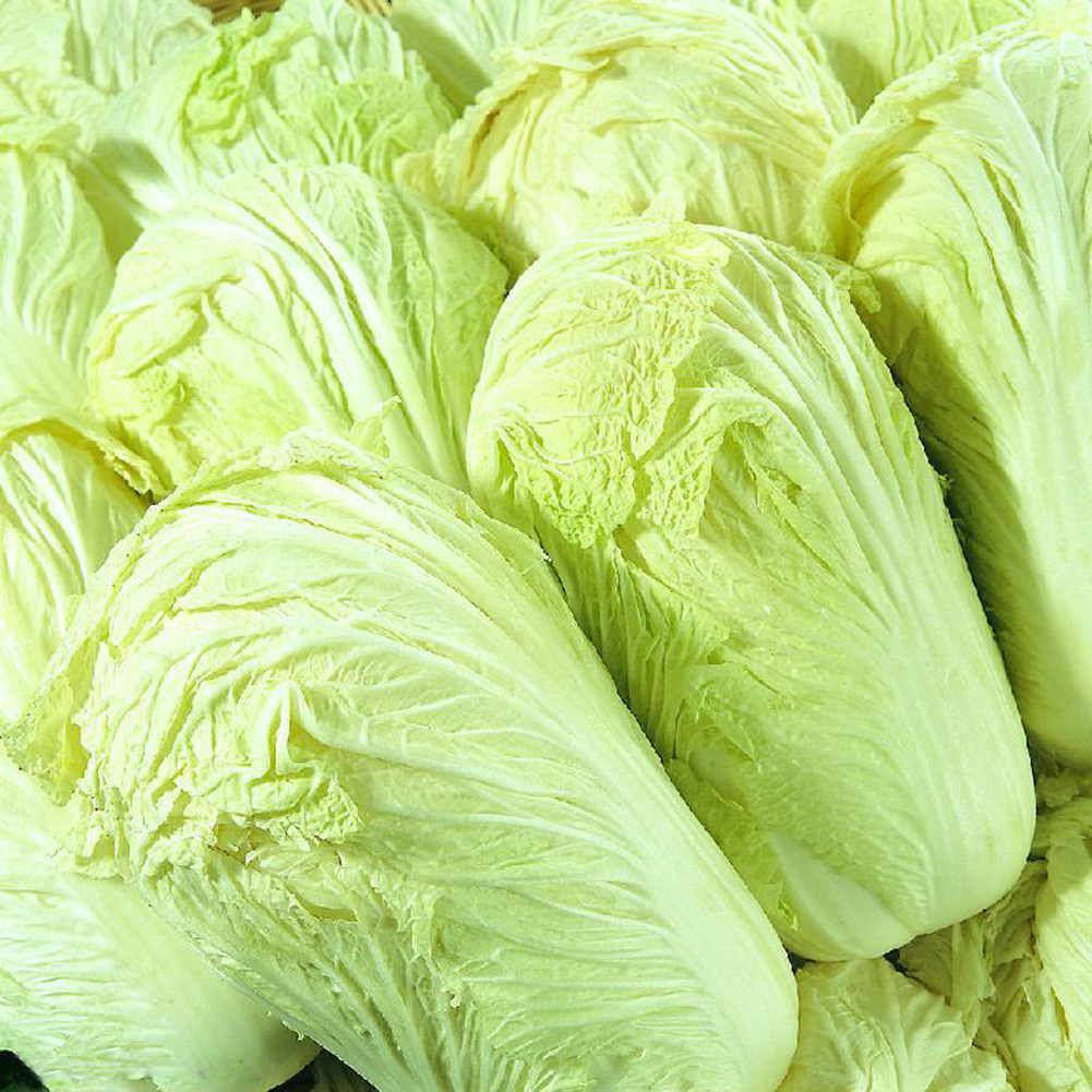 

New Delicious 100pcs Chinese Cabbage Seeds Organic Heirloom Vegetables Garden Supplies Interest DIY