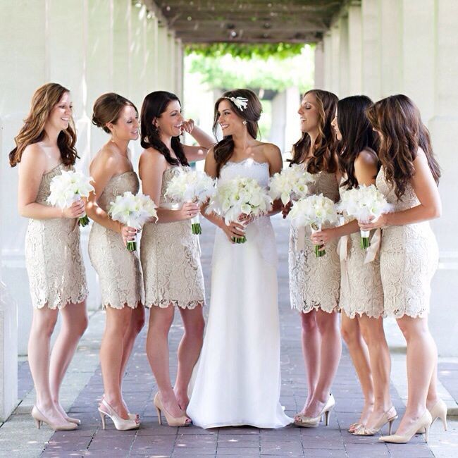 

Modest Champagne Lace Bridesmaid Dresses Strapless Ribbon Short Wedding Party Dress Bride Maid of Honor Dress for Women