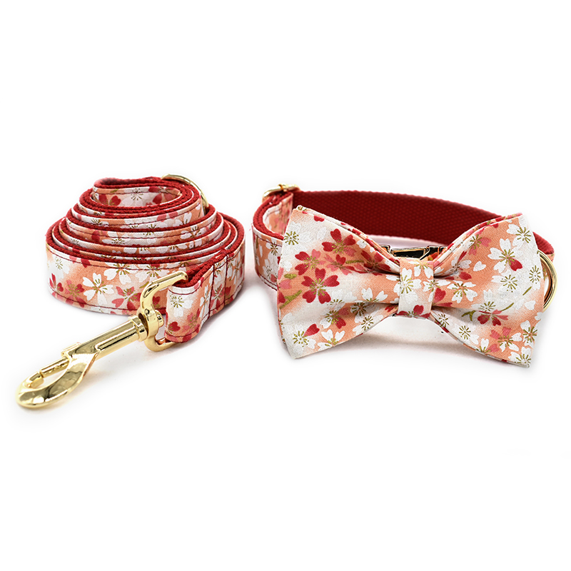 

Adjustable Pet Collar with Matching Leash Combo Set, Collars for Small Medium Large Dogs and Cats Free engraving against lost