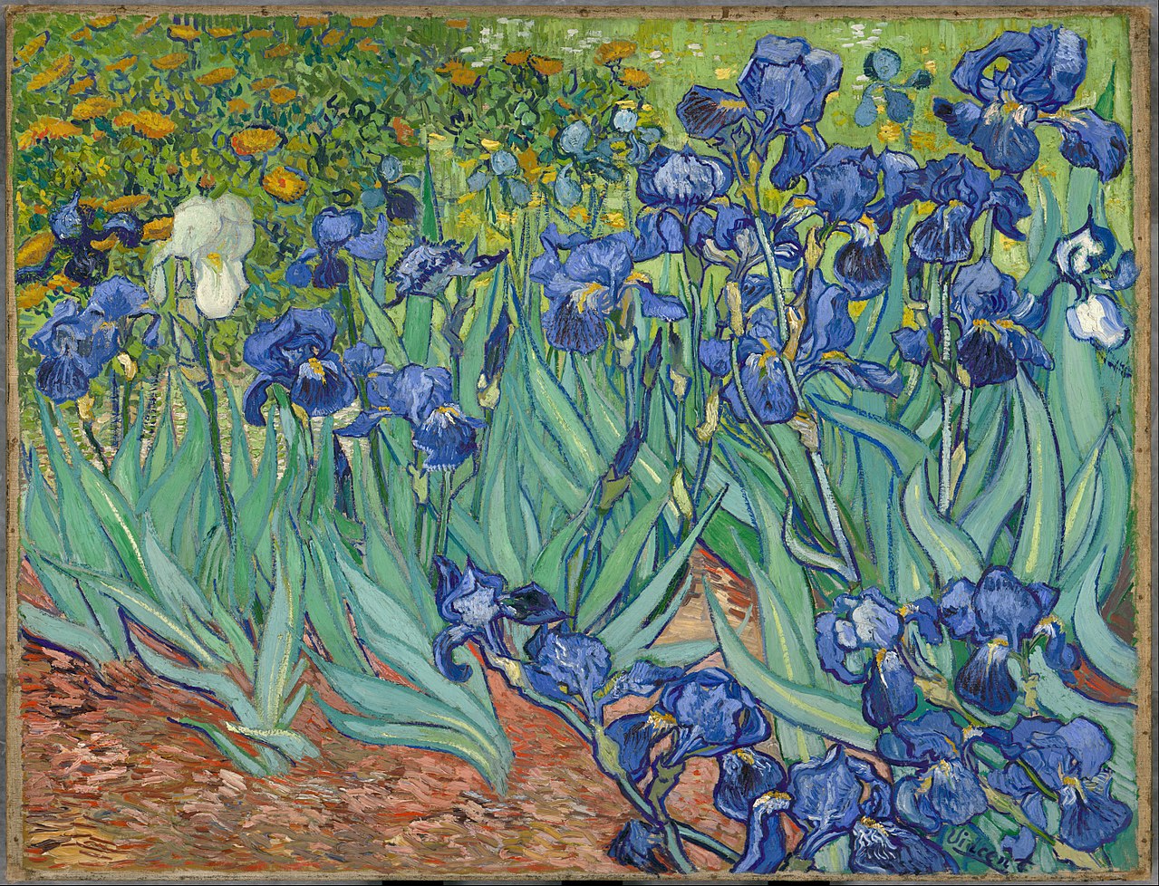 Canvas Oil Painting Art Hand Painted Irises, 1889 Vincent Van Gogh Painting Reproduction on Canvas Impressionist Unframed-image-450827202