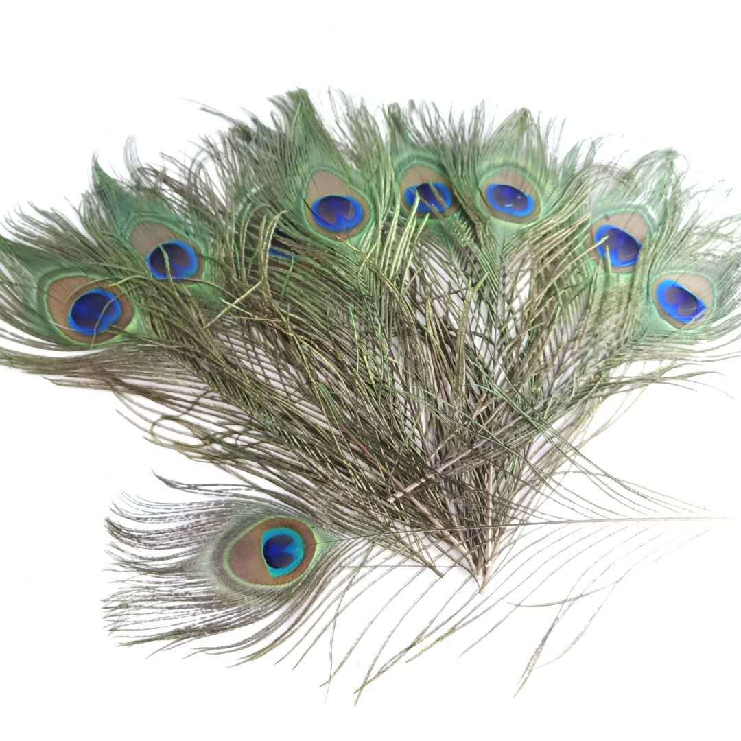 Wholesale10-5000 PCS 10-12inches//25-30cm Beautiful Natural Color Peacock Feather