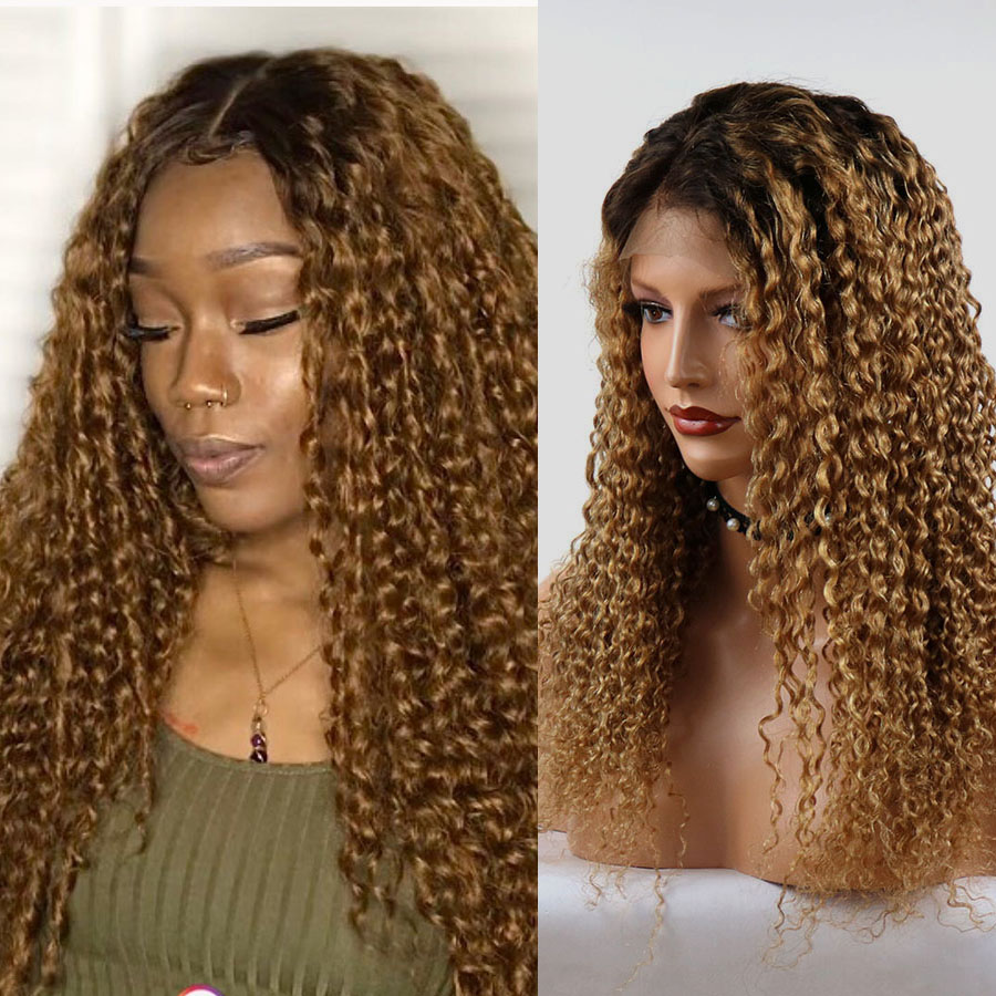 

Curly Ombre #2/Brown 13x6 Lace Front Human Hair Wig with Baby Hair Brazilian Lace Front Wig for Black Women Natural Hairline, 13x3 lace front wig