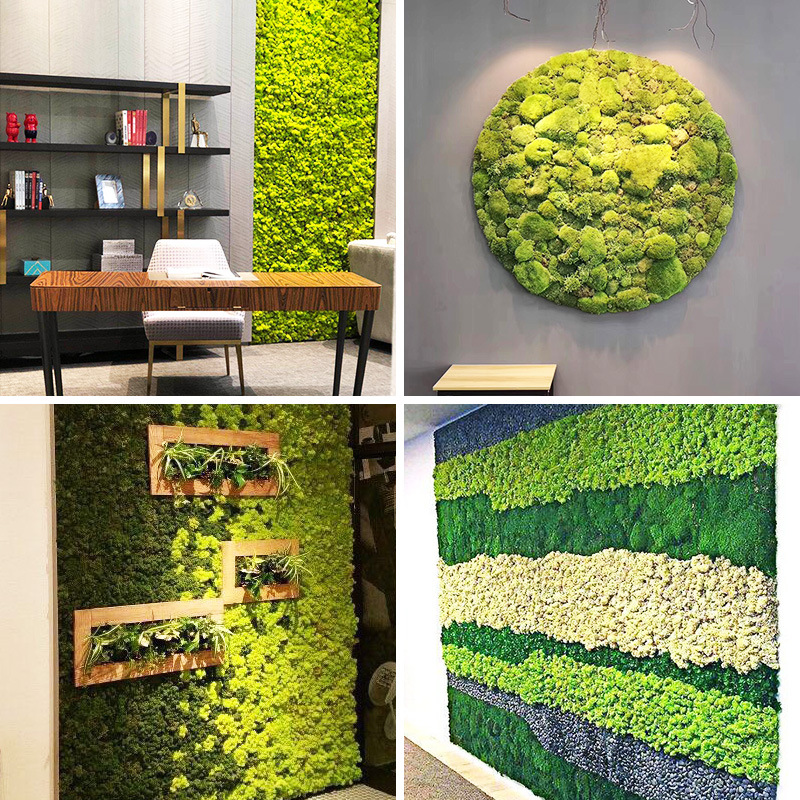 

Artificial plant eternal life moss / Garden home decoration wall DIY Flower material Mini Garden Micro Landscape Accessories