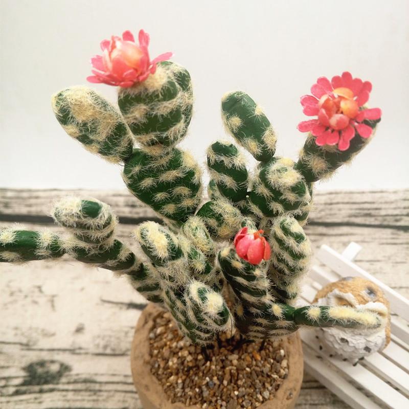 

9pcs Cactus Succulents Plants DIY Accessories Artificial Flowers Wedding Decor Home Christmas Decoration Craft Fake Plant, Please choose to