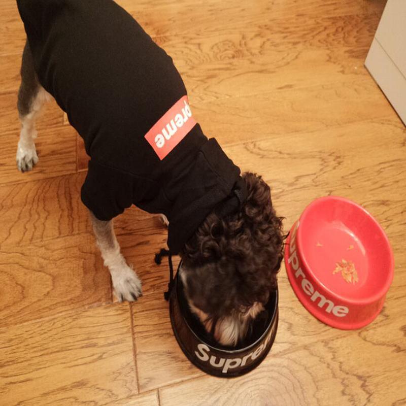 wholesale dog food online