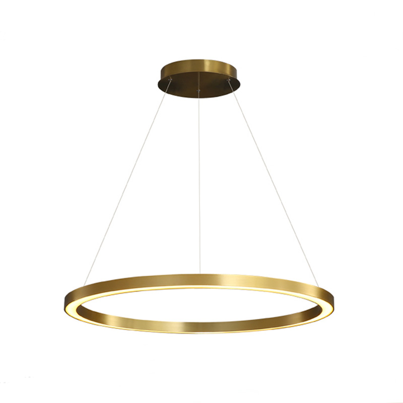 

New Arrival Nordicr Ring Pendant Light Gold Simple Circle Dimmable Hanging Lamp for Living Room Home diningroom Art Decoration Luminaire