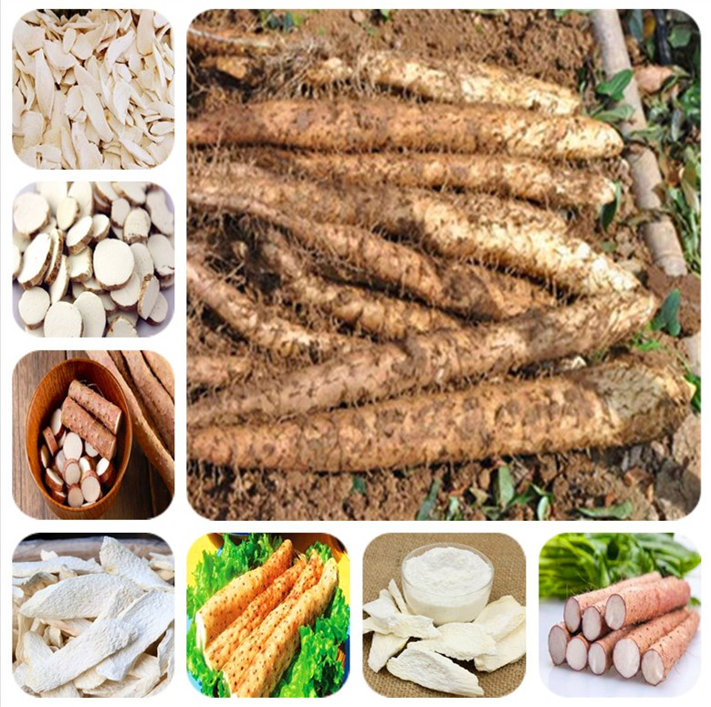 

100 pieces Seeds of purple yam bonsai "purple ginseng" edible plant cylindrical root high nutrition healthy green organic vegetable