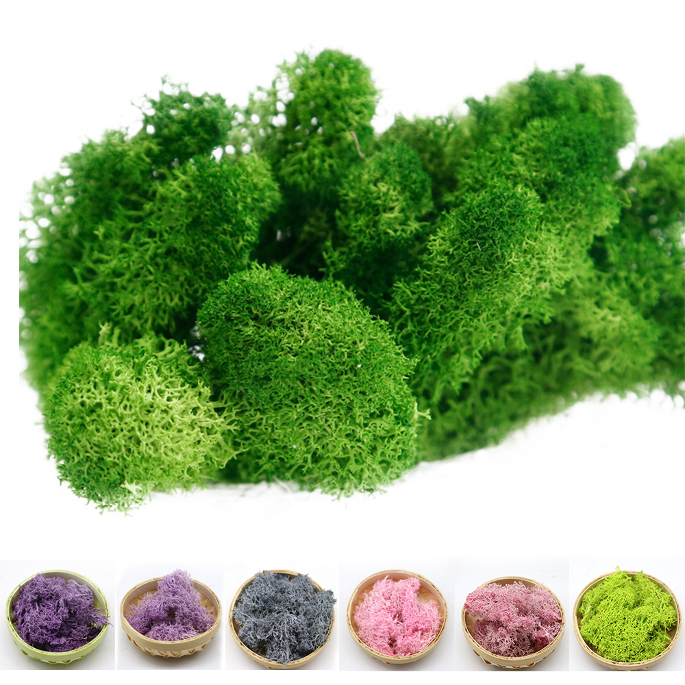 

DIY Decorative Eternal Life Moss Immortal Fake Flower Moss Grass Home Decorative Wall Micro Landscape Artificial Plants Green