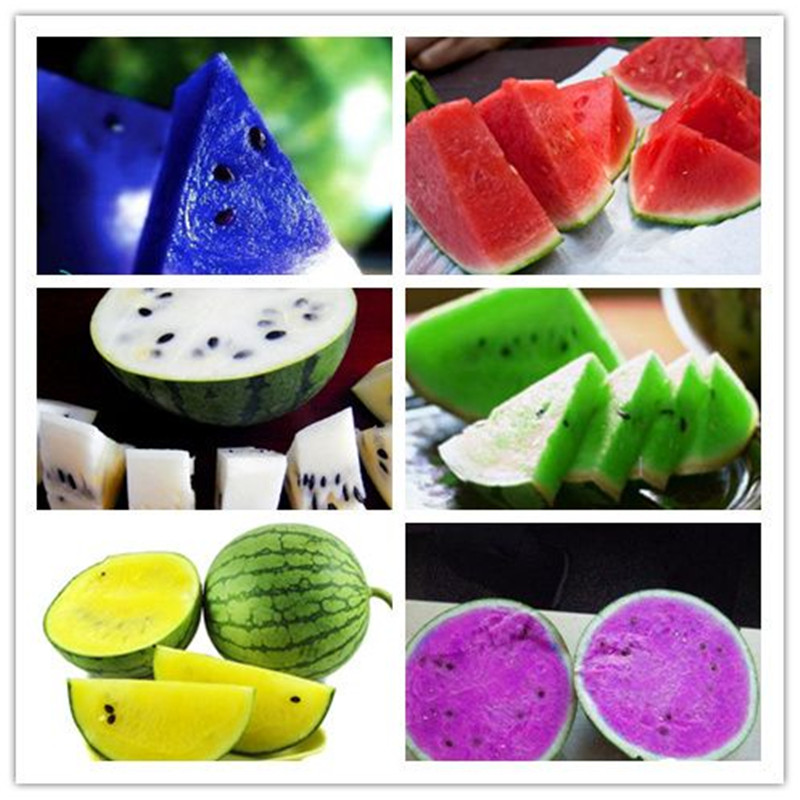 

12 Kinds Rare Chinese Watermelon Seeds Can to be Choose Delicious Fruit Water Melon Seeds Bonsai Plants Seeds - 30 pcs/bag