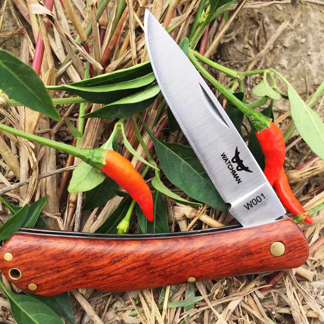 

WATCHMAN W001 pocket knife folding knives wood handle Tactical survival Camping back lock folder Tool Collection High Quality