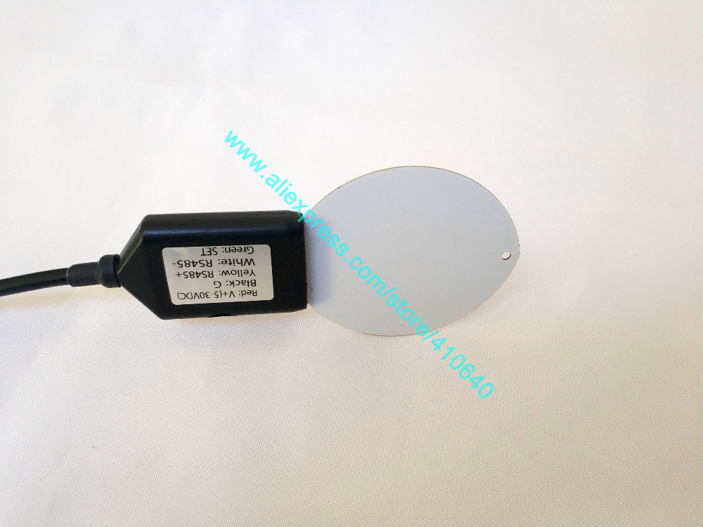 2021 RS485 Output Leaf Surface Temperature Humidity Sensor Two In One