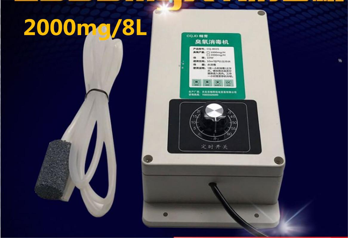 

2000mg/h Ozone Generaotr Air Purifier Ozone Sterilizing Machine Sterilizaton 2000mg/h for Fruits Vegetables Meat