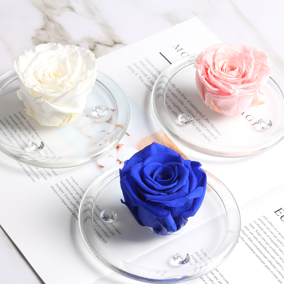 

Preserved Rose Flower in Glass Dome Handmade Fresh Rose Night Light Gift for her in Birthday Mother's Day Valentines Day Gift