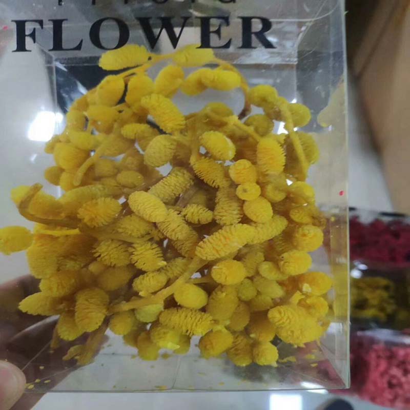 

30/g Mulberry fruit, eternal flower material, with flowers and flowers, gift box production materials, home decoration, Green