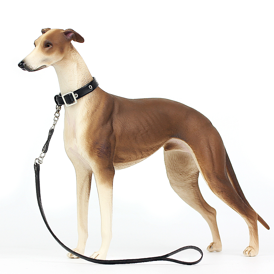 juguetes para galgos