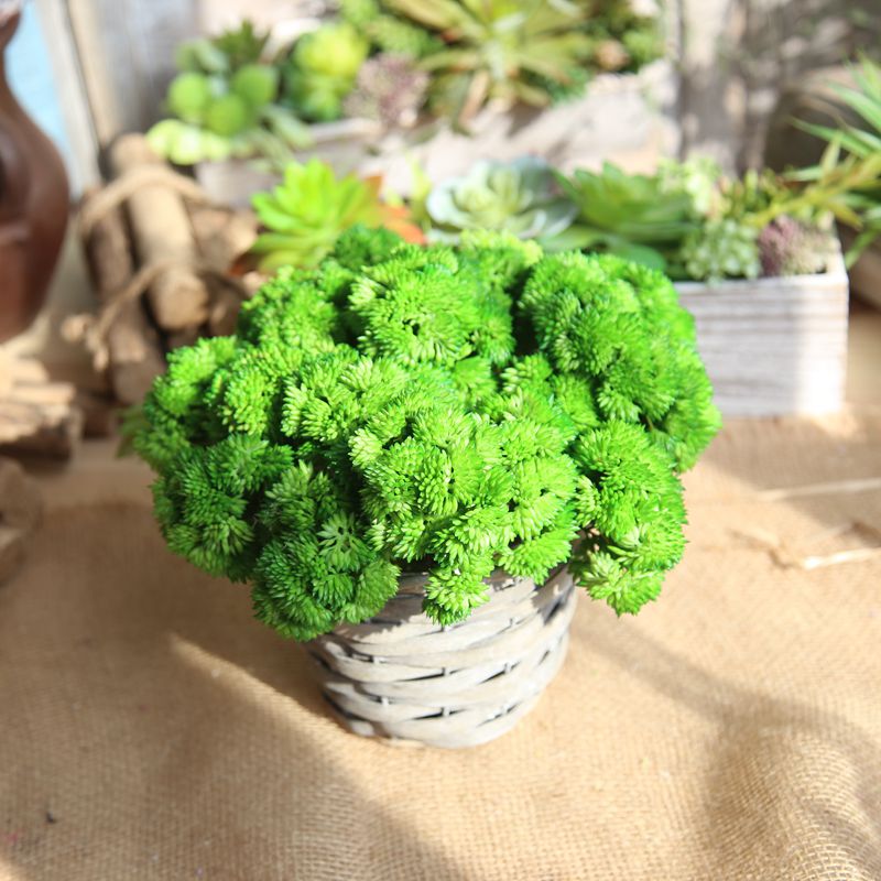 

1 Pc Artificial flower hydrangea home decoration fake flower soft plastic rice fruit succulent flowers for wedding festival, Pink