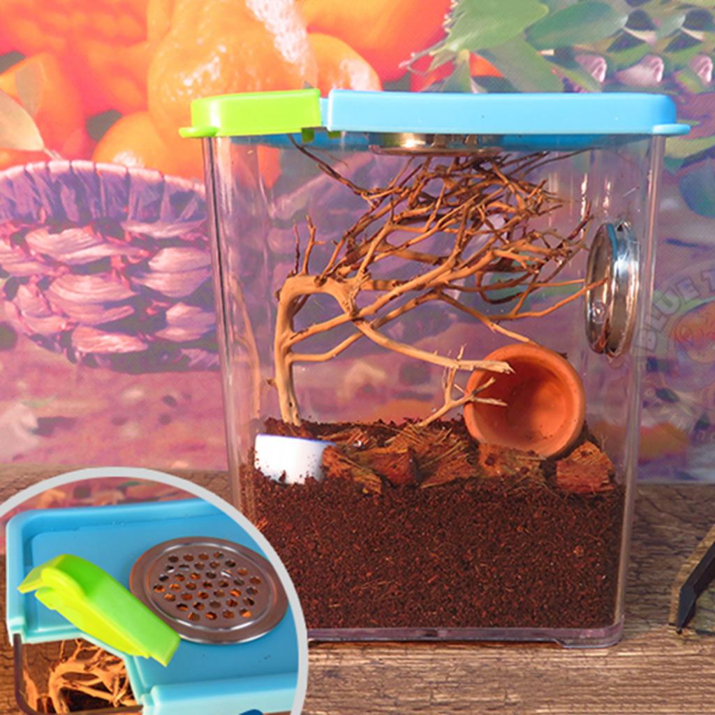 

2pcs plastic insect spider incubation box case amphibians hatching box