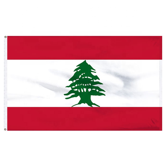 

Lebanon Flag 3x5FT 150x90cm Polyester Printing Indoor Outdoor Hanging Hot Selling National Flag With Brass Grommets Free Shippin