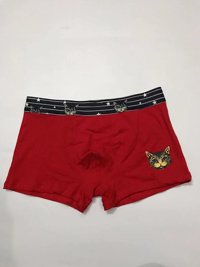 2020 G Designer Brand Men Underwear Fashion Sexy Mens Boxers Underwear