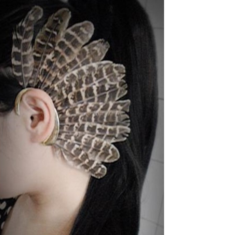 

Fashion new earrings personality trend fashion exaggerated turkey feather ear hanging jewelry hoop earrings