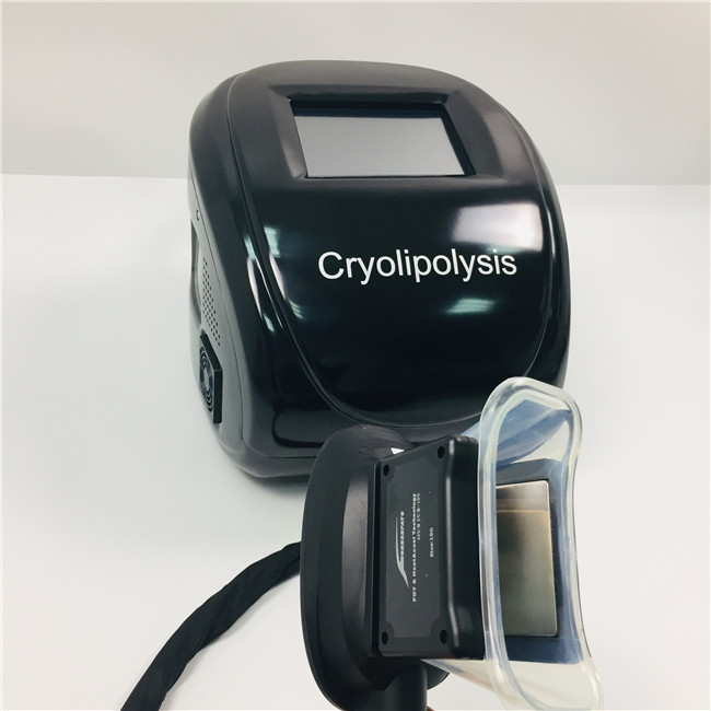 

Factory Sale Cryolipolysis Machine Fat Freezing Slimming Machine CRYO6S portable Cryo Beauty Equipment for Weight Loss Body Slimming