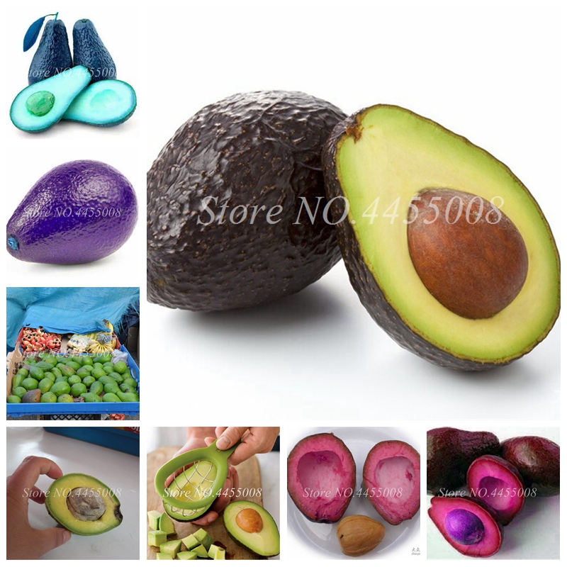 

10 pcs Seeds New Avocado Bonsai Delicious Fruit Tree Easy Grow SeedsFor Home Garden Sweet Organic Fruta Vegetable Pot Courtyard Plant