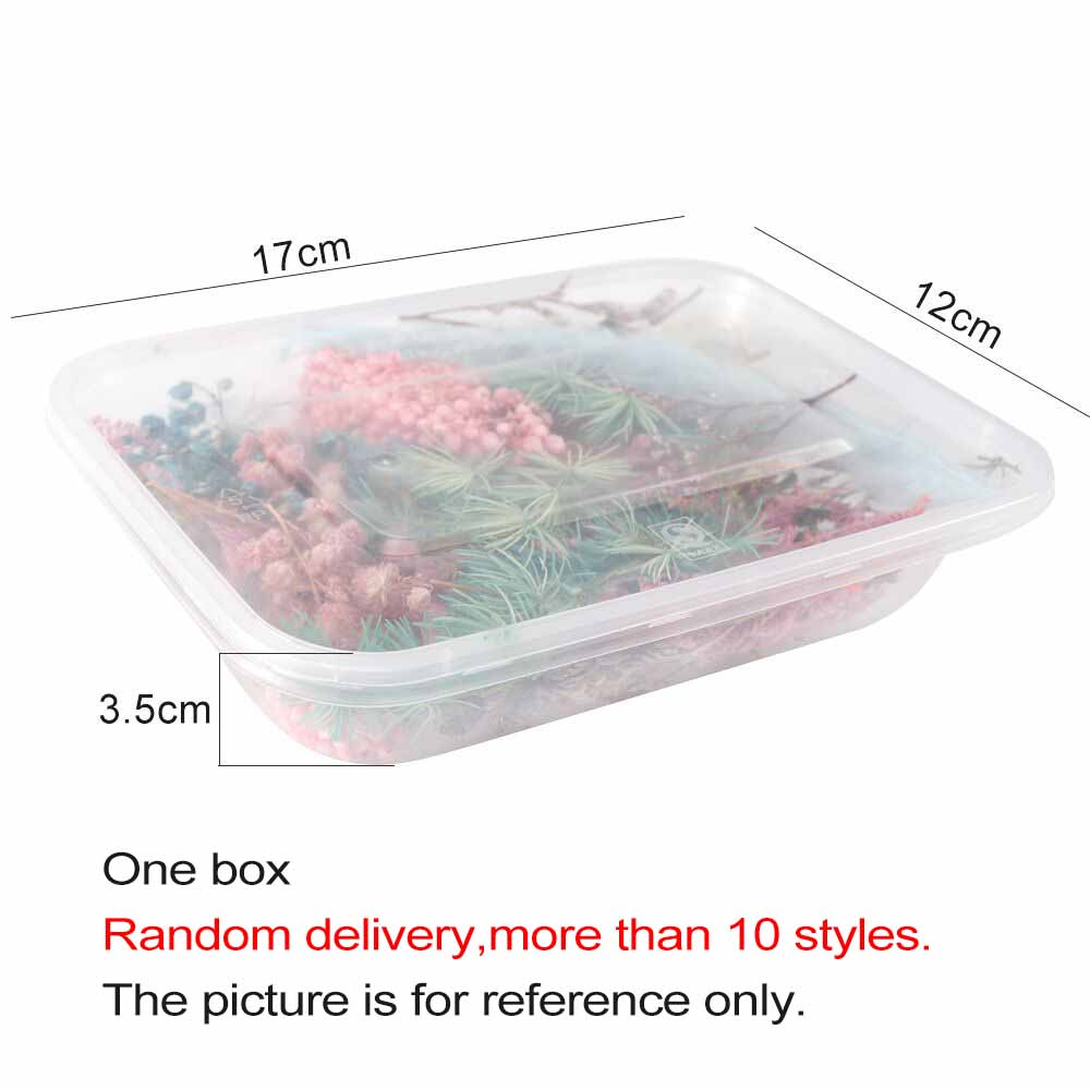 

1 Box Real Dried Flower Dry Plants For Aromatherapy Candle Epoxy Resin Pendant Necklace Jewelry Making Craft DIY Accessories, Customize