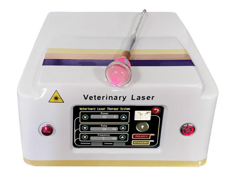 

2020 LASTEK Medical Cold Veterinary Laser Therapy Equipment for Pain Relief , Wound Healing ,sports Injury for Sale