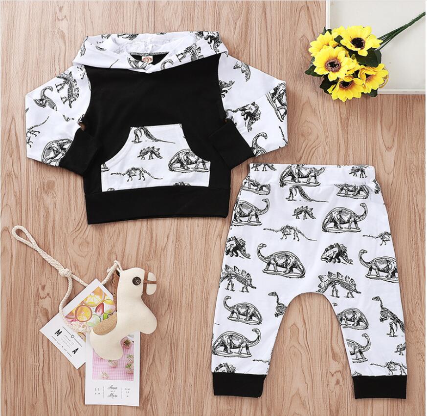 

Boy Long Sleeve Dinosaur Print Hoodies Set Baby Spring and Autumn Tops and Pant Suit Baby Clothes Two Pieces ZHT 285, As picture