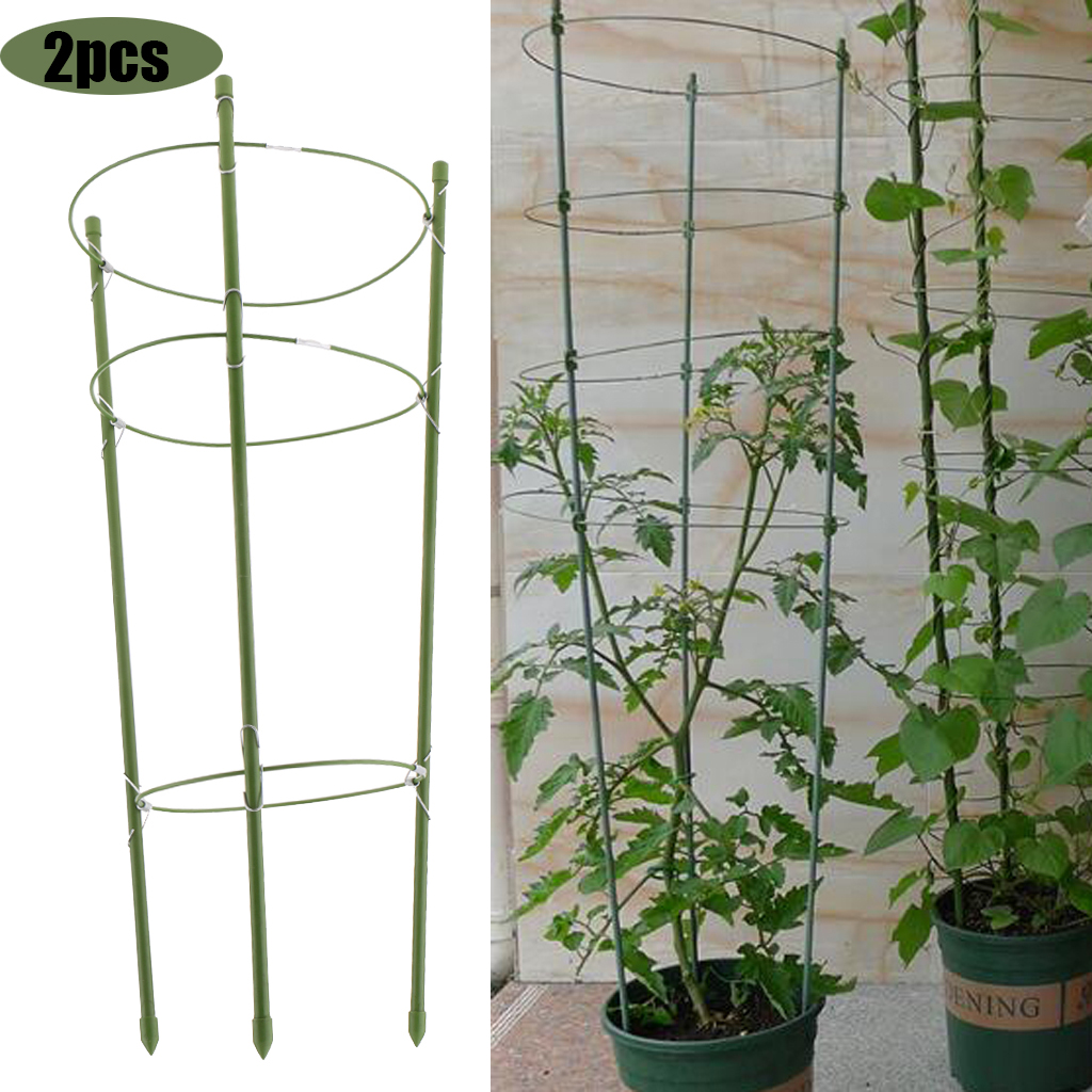 

2pcs 60cm plant climbing support cage flowers rack stand frame with 3 rings
