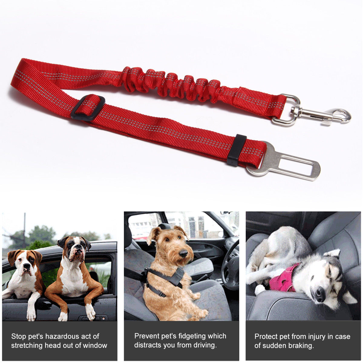 metal dog seat belt