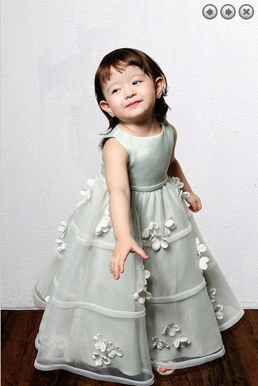 

free shipping 2020 new style organza Girls' Formal gowns Lovely princess dress weddings Girl's Pageant Gowns Flower Girl Dresses, Custom color