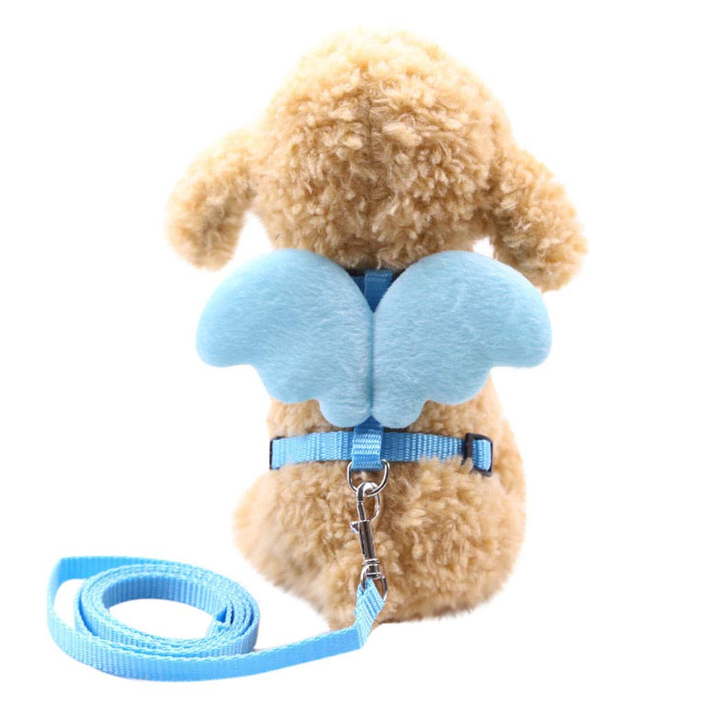 Promotion Laisse Chaton Vente Laisse Chaton Sur Fr Dhgate Com Promotion Laisse Chaton Vente Laisse Chaton Sur Fr Dhgate Com