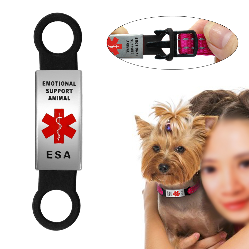 Promotion Laisse Chaton Vente Laisse Chaton Sur Fr Dhgate Com Promotion Laisse Chaton Vente Laisse Chaton Sur Fr Dhgate Com