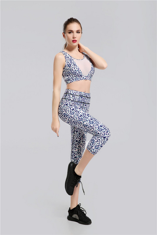 

2020 New Leopard Yoga Top & Pants Women Sport Yoga Sets Quick Dry Sportswear Fitness Gym Clothes Ladies Free Drop Shipping gally