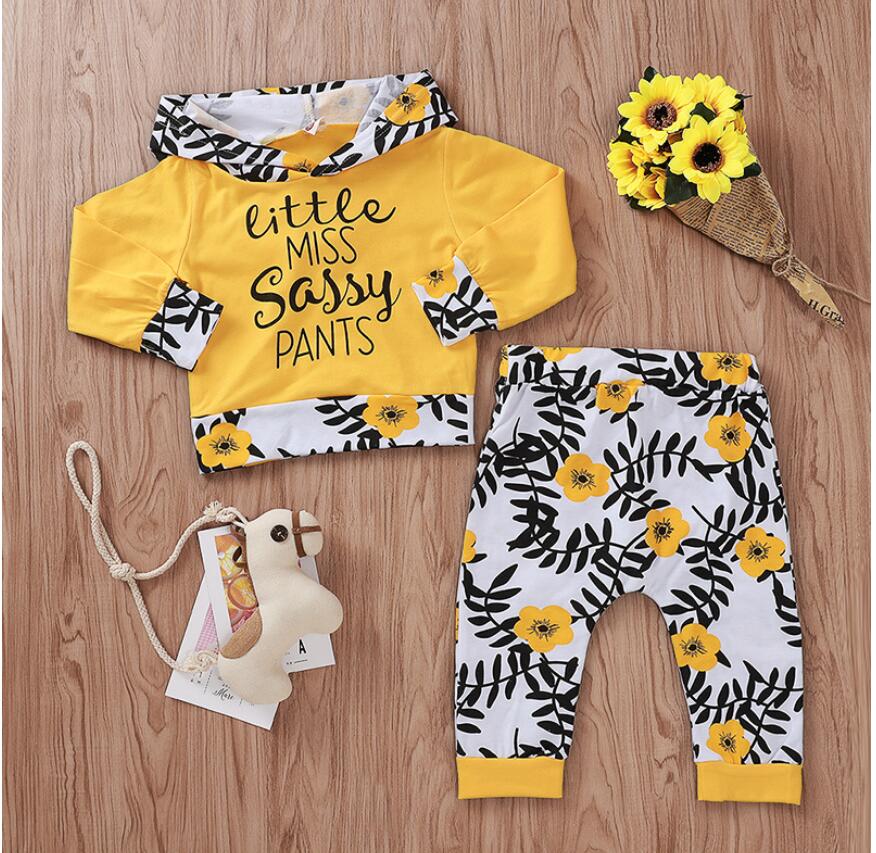 

Girl Long Sleeve Floral Print Hoodies Set Baby Spring and Autumn Tops and Pant Suit Baby Clothes Two Pieces ZHT 286, As picture