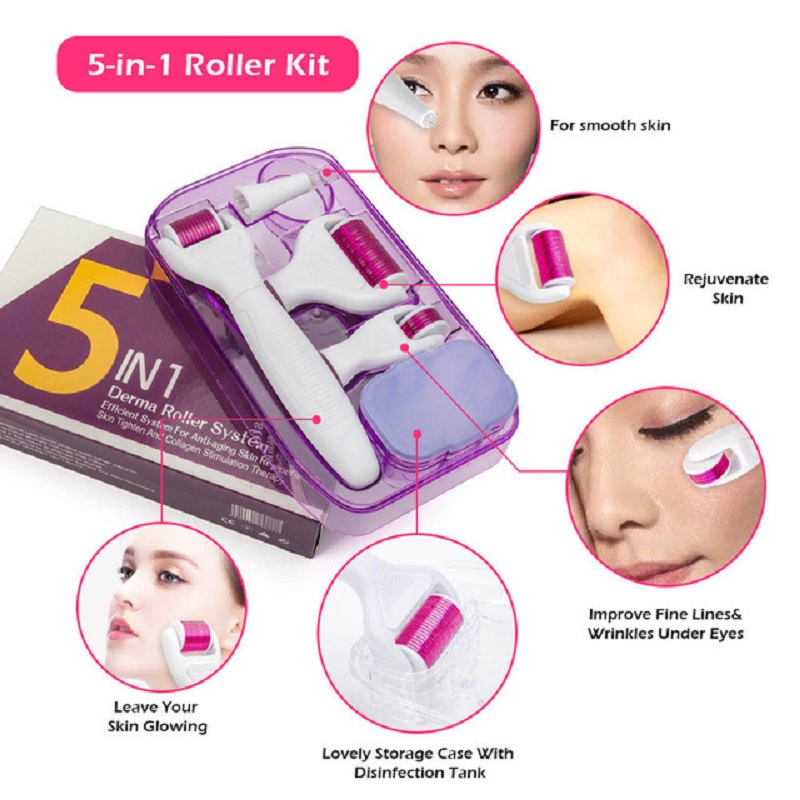 

Derma Roller Micro Needle Kit Micro Needles Titanium Microneedle Mezoroller Machine for Skin Care and Body Treatment