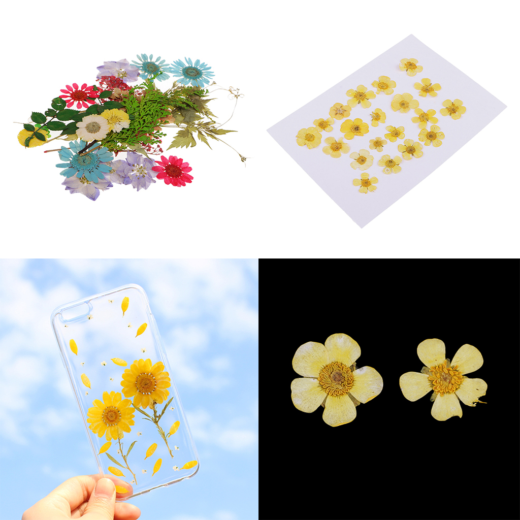 NEW Scrapbooking Cards BRADS FLOWER Mixed Colours Bulk pk 100 Flowers