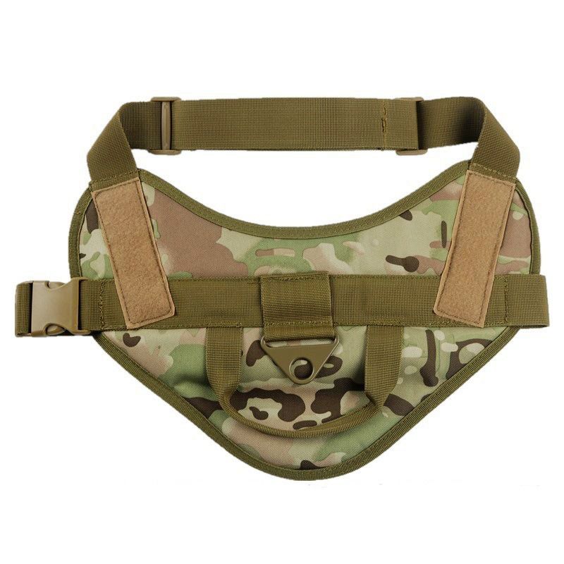CP