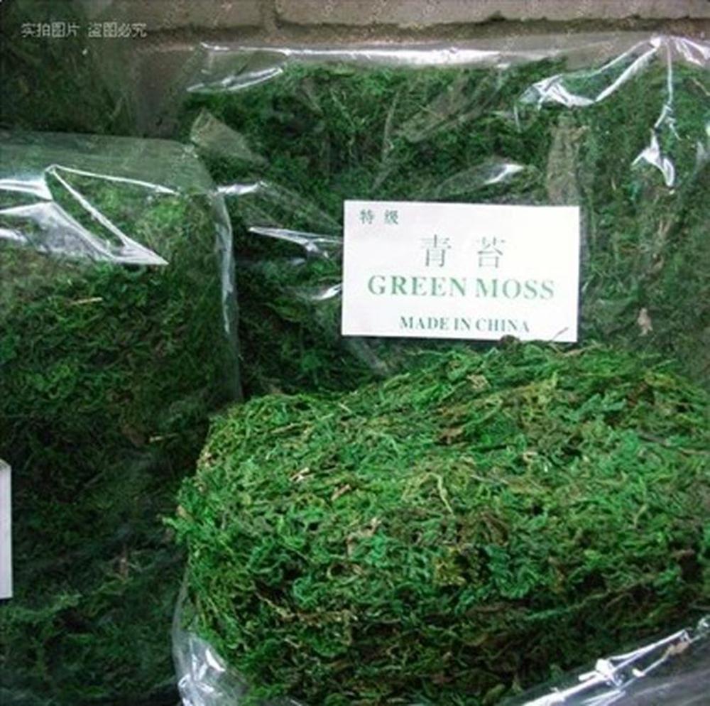 50g/bag Keep Dry Real Green Moss Decorative Plants Vase Artificial Turf Silk Flower Accessories For Flowerpot Decoration-image-1034330312