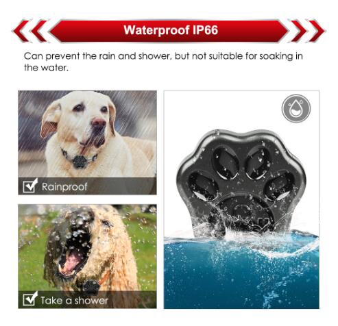 Mini Pet GPS Tracker TK909 Tracking Device Dog Cat Locator Waterproof Free Web