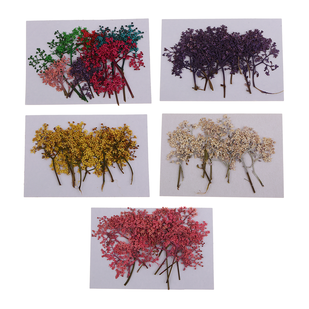 

12 Pieces Natural Pressed Dried Flower Embellishment for Scrapbook Card Making DIY Phone Case Decoration, Pink